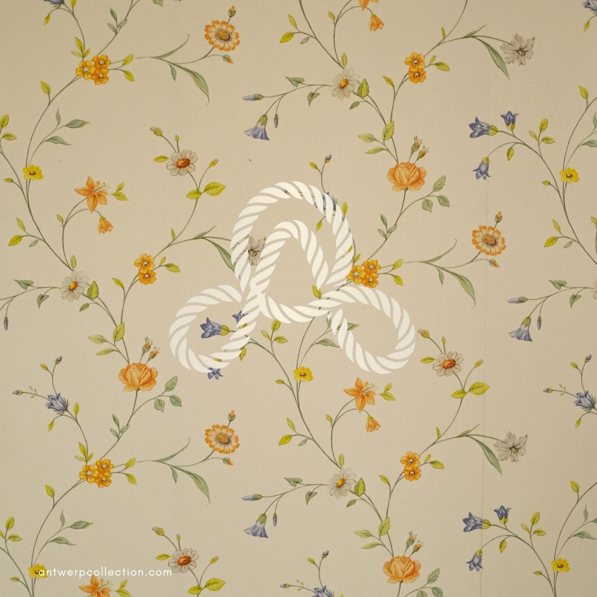 AMTWERP COLLECTION 8