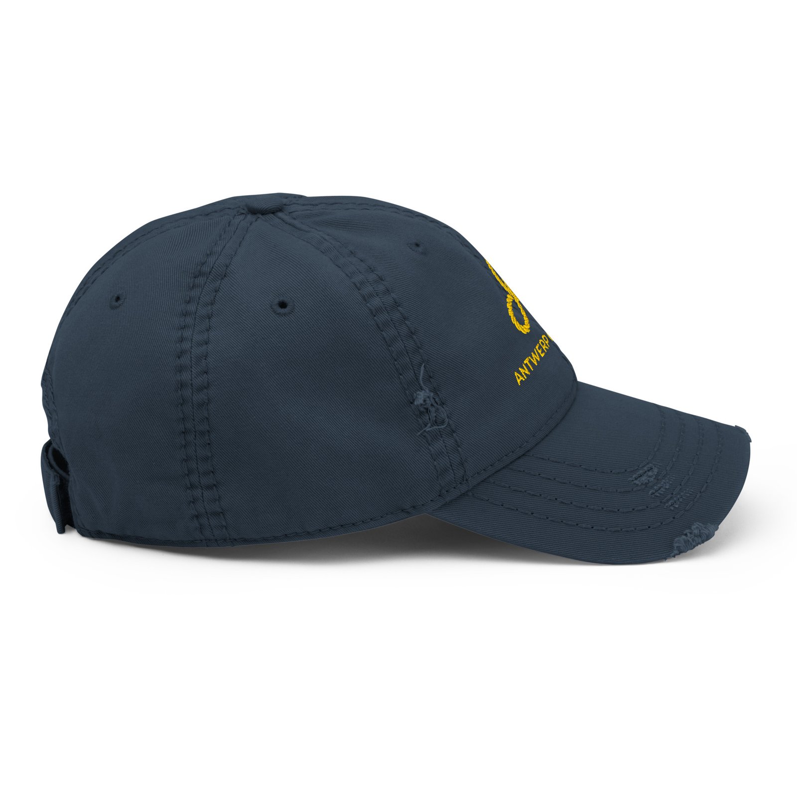 Distressed Dad Hat - Image 6