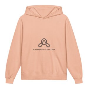 youth lightweight hooded sweatshirt